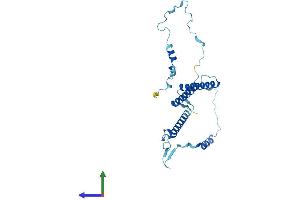 AlphaFold protein structure predicition of Mouse Recombinant Enkur Protein, UniprotID Q6SP97