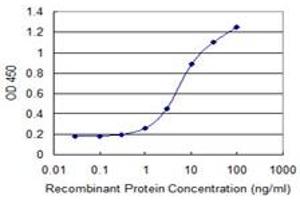 Detection limit for recombinant GST tagged AREG is 0. (Amphiregulin antibody  (AA 20-129))