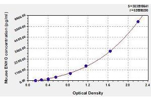 Typical standard curve (ENHO ELISA Kit)