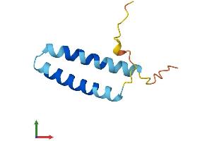 Protein Structure (PS) image for Synovial Sarcoma Translocation Gene On Chromosome 18-Like 2 (SS18L2) (AA 1-77) protein (Fc Tag) (ABIN7551613)