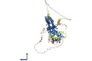 AlphaFold protein structure predicition of Human Recombinant KCNA4 Protein, UniprotID P22459 (Kv1.4 Protein (AA 1-653) (His tag))