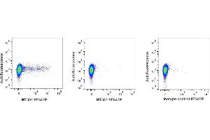 Detection of IFN-γ by flow cytometry in viable bovine PBMC. (Interferon gamma antibody  (PromoFluor 647 Premium))