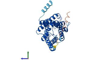 AlphaFold protein structure predicition of Mouse Recombinant Aqp9 Protein, UniprotID Q9JJJ3 (AQP9 Protein (AA 1-295) (His tag))