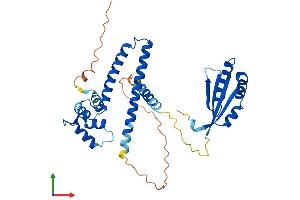 Protein Structure (PS) image for N-terminal EF-Hand Calcium Binding Protein 1 (NECAB1) (AA 1-352) protein (His tag) (ABIN7558518)