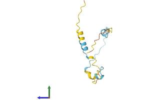 AlphaFold protein structure predicition of Mouse Recombinant Lbh Protein, UniprotID Q9CX60 (LBH Protein (AA 1-105) (His tag))