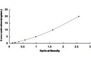 Typical standard curve (LY9 ELISA Kit)