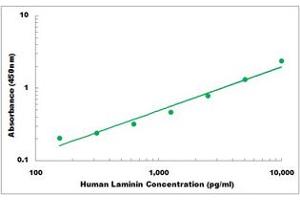 Representative Standard Curve (Laminin ELISA Kit)