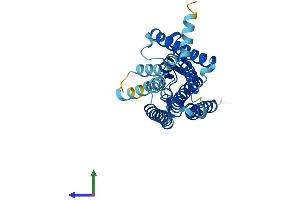 AlphaFold protein structure predicition of Human Recombinant OR52K1 Protein, UniprotID Q8NGK4 (OR52K1 Protein (AA 1-314) (His tag))