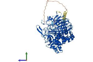 AlphaFold protein structure predicition of Mouse Recombinant Mogs Protein, UniprotID Q80UM7 (GCS1 Protein (AA 1-834) (His tag))