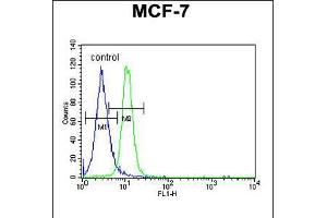 Flow cytometric analysis of MCF-7 cells (right histogram) compared to a negative control cell (left histogram). (PSG7 antibody  (C-Term))