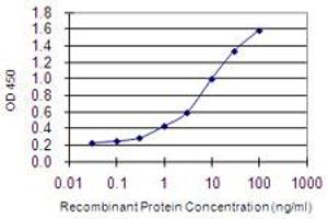 Detection limit for recombinant GST tagged CRIPT is 0. (CRIPT antibody  (AA 1-101))