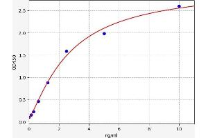 Typical standard curve (TMEM158 ELISA Kit)