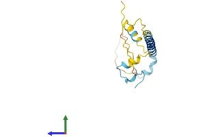 AlphaFold protein structure predicition of Mouse Recombinant Paip2b Protein, UniprotID Q91W45 (PAIP2B Protein (AA 1-136) (His tag))