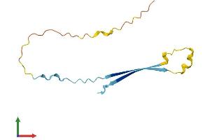 AlphaFold protein structure predicition of Human Recombinant SPANXB1 Protein, UniprotID Q9NS25 (SPANXB1 Protein (AA 1-103) (His tag))