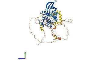 AlphaFold protein structure predicition of Mouse Recombinant Nek3 Protein, UniprotID Q9R0A5 (NEK3 Protein (AA 1-511) (His tag))