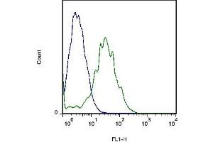 Mouse liver cells probed with Rabbit Anti-FLRT3 Polyclonal Antibody (ABIN1714164) at 1:100 for 60 minutes followed by incubation with Goat Anti-Rabbit IgG FITC conjugated secondary  at 1:100 (green) for 40 minutes compared to control cells (blue) (FLRT3 antibody  (AA 415-490))