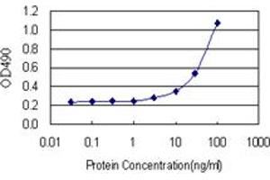 ANXA1 (Human) Matched Antibody Pair