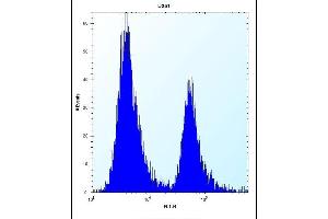 PEG10 Antibody (N-term) (ABIN656590 and ABIN2845851) flow cytometric analysis of  cells (right histogram) compared to a negative control cell (left histogram). (PEG10 antibody  (N-Term))