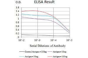 Black line: Control Antigen (100 ng),Purple line: Antigen (10 ng), Blue line: Antigen (50 ng), Red line:Antigen (100 ng) (CHRNE antibody  (AA 21-239))