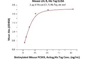 Immobilized Mouse LDL R, His Tag (ABIN2870751,ABIN2870752) at 10 μg/mL (100 μL/well) can bind Biotinylated Mouse PCSK9, Avitag,His Tag (ABIN2870574,ABIN2870575) with a linear range of 2-16 ng/mL (QC tested). (LDLR Protein (AA 22-790) (His tag))