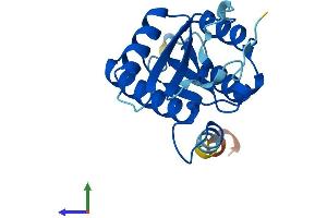 AlphaFold protein structure predicition of Human Recombinant CENPM Protein, UniprotID Q9NSP4 (CENPM Protein (AA 1-180) (His tag))