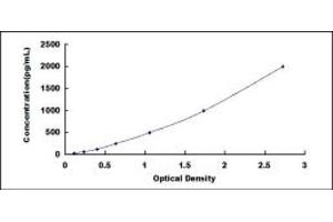 Lactoferrin ELISA Kit