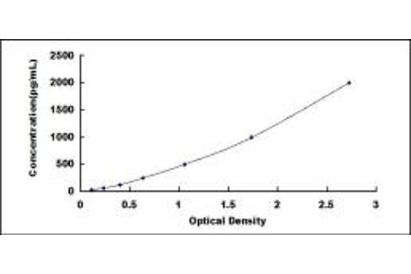 Lactoferrin ELISA Kit