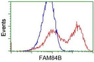 HEK293T cells transfected with either RC207996 overexpress plasmid (Red) or empty vector control plasmid (Blue) were immunostained by anti-FAM84B antibody (ABIN2453033), and then analyzed by flow cytometry. (FAM84B antibody)