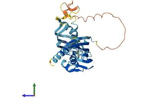 AlphaFold protein structure predicition of Mouse Recombinant Ahsa2 Protein, UniprotID Q8N9S3 (AHSA2 Protein (AA 1-331) (His tag))
