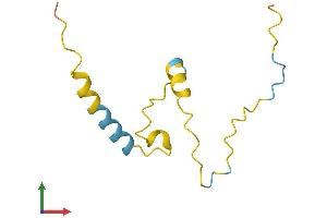 AlphaFold protein structure predicition of Mouse Recombinant Spata45 Protein, UniprotID Q9CVW4 (C1orf227 Protein (AA 1-97) (His tag))