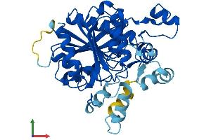 AlphaFold protein structure predicition of Human Recombinant LIPJ Protein, UniprotID Q5W064 (LIPJ Protein (AA 1-366) (His tag))
