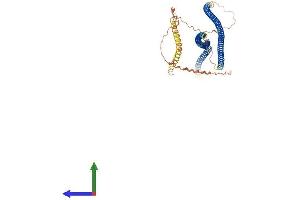 AlphaFold protein structure predicition of Mouse Recombinant Ina Protein, UniprotID P46660 (INA Protein (AA 1-501) (His tag))