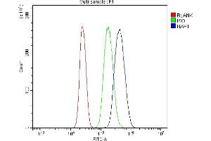 Flow Cytometry analysis of U937 cells using anti-HAP1 antibody (ABIN7599522). (HAP1 antibody  (AA 1-671))