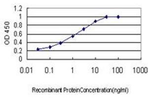 Detection limit for recombinant GST tagged SH3MD2 is approximately 0. (SH3RF1 antibody  (AA 790-888))