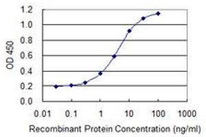 Detection limit for recombinant GST tagged ATF4 is 0. (ATF4 antibody  (AA 1-351))
