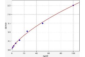 Typical standard curve (Annexin V ELISA Kit)