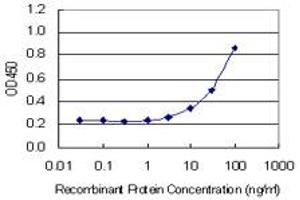 Detection limit for recombinant GST tagged ANG is 1 ng/ml as a capture antibody. (ANG antibody  (AA 25-147))