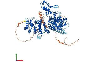 AlphaFold protein structure predicition of Mouse Recombinant Hectd2 Protein, UniprotID Q8CDU6 (HECTD2 Protein (AA 1-774) (His tag))