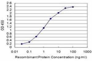 Detection limit for recombinant GST tagged SIX4 is approximately 0. (SIX4 antibody  (AA 672-780))