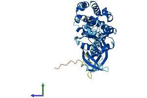 Protein Structure (PS) image for U2AF Homology Motif (UHM) Kinase 1 (UHMK1) (AA 1-419) protein (His tag) (ABIN7545034)