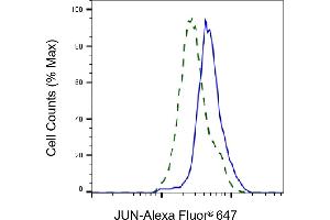 Flow cytometric analysis of JUN expression in HT- cells using JUN antibody (ABIN7799149), 1:2,000). (C-JUN antibody)