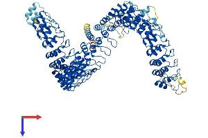 AlphaFold protein structure predicition of Mouse Recombinant Ankrd44 Protein, UniprotID B2RXR6 (ANKRD44 Protein (AA 1-993) (His tag))