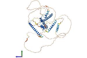 AlphaFold protein structure predicition of Mouse Recombinant Mlph Protein, UniprotID Q91V27 (Melanophilin Protein (MLPH) (AA 1-590) (His tag))