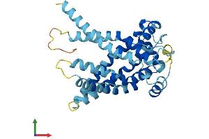 AlphaFold protein structure predicition of Mouse Recombinant Slc25a19 Protein, UniprotID Q9DAM5