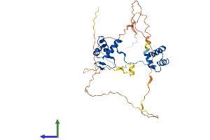 AlphaFold protein structure predicition of Human Recombinant PAX9 Protein, UniprotID P55771 (PAX9 Protein (AA 1-341) (His tag))
