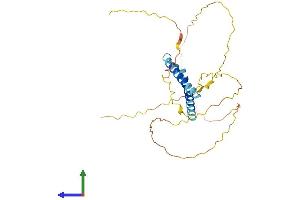 AlphaFold protein structure predicition of Human Recombinant FRG2 Protein, UniprotID Q64ET8 (FRG2 Protein (AA 1-278) (His tag))