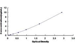 Typical standard curve (CDK6 ELISA Kit)