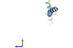 Protein Structure (PS) image for Stress-Associated Endoplasmic Reticulum Protein Family Member 2 (SERP2) (AA 1-65) protein (Fc Tag) (ABIN7546043)
