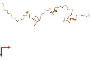 Keratin Associated Protein 19-1 (KRTAP19-1) (AA 1-87) protein (Fc Tag)