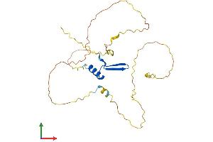 AlphaFold protein structure predicition of Human Recombinant VGLL1 Protein, UniprotID Q99990